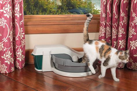 stainless steel self cleaning litter box|inexpensive self cleaning litter box.